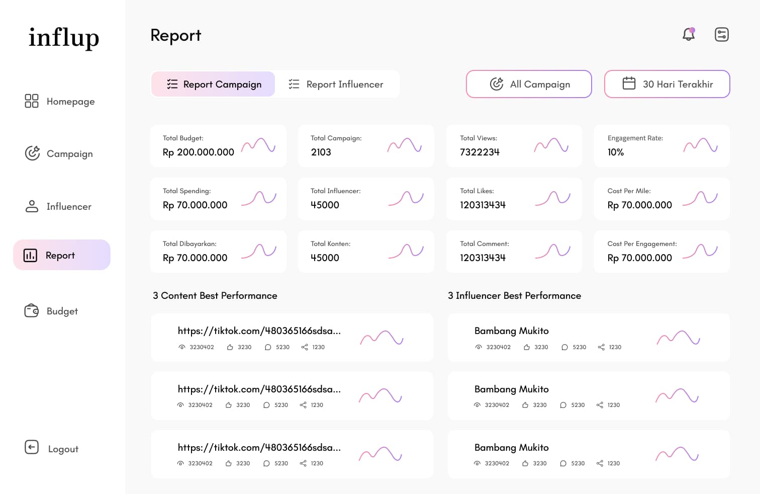 Influp — Report
